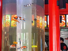 -秤砣砣·湖南粉面馆(青年路店)