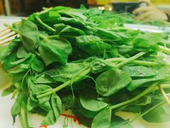 豌豆苗-袁记串串香(北国店)