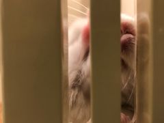 -龙猫仔乐园(惠福东路店)