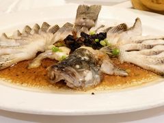 榄角肉崧蒸鲈鱼-稻香酒家·35年老字号(侨光店)