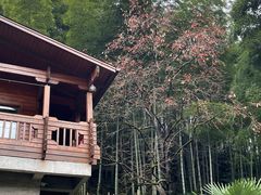 -宁波余姚老柿林山居度假村