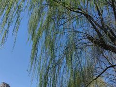 -四里河滨水生态公园