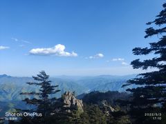-牛背梁国家森林公园