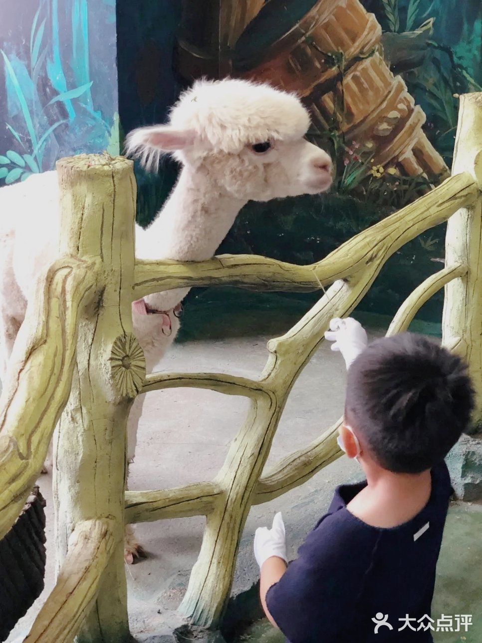 西安|好玩的萌宠乐园,玩耍中学习[胜利]