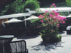 -铂米星座(瑞安店)