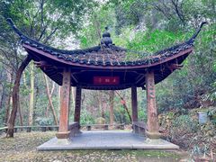 -杭州植物园