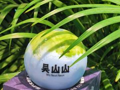 -吴山山·椰子酸奶(天河南店)