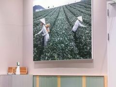 -奈雪的茶(优特汇店)
