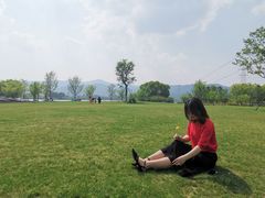 -长田漾湿地公园