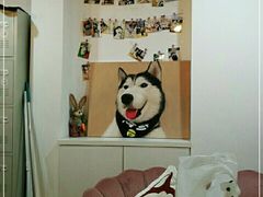 -Husky Go! 哈士奇体验馆·宠物咖啡厅狗咖