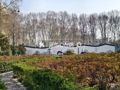 -洛阳市牡丹公园