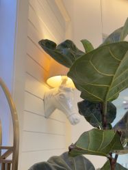 -JUVA欧华医美连锁