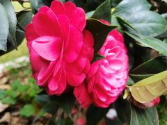 -八景休閒山莊  廣東十大名山莊