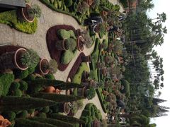 iphone_upload_pic-东芭乐园