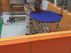 -惠康宠物医院(华能路店)