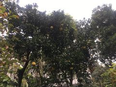 -杭州西湖风景名胜区-三生石