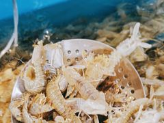 -港畔赶海蒸汽海鲜烧烤自助(仙螺岛店)