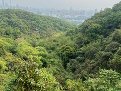 -广州市白云山风景名胜区