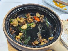-明本湛江鸡•海鲜小厨(陈家祠店)