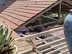 -伟伟宠物医院·CT影像中心·瑞派犬猫综合性门诊(汉口总院)