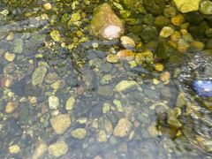 -雅鲁激流探险漂流