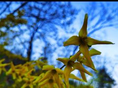 -鹫峰国家森林公园