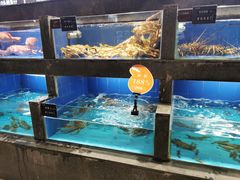 水产区-徐记海鲜(明德门店)