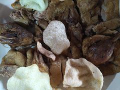 -龚家花园农家乐休闲别墅