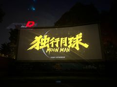 -枫花园汽车电影院(朝阳公园店)
