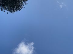 -悉尼海港大桥