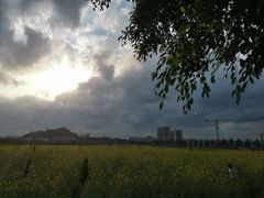 -光明小镇欢乐田园