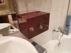 -北京广电国际酒店