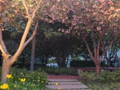 -北外滩滨江绿地