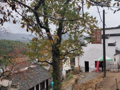 -塔川景区