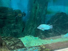 -苏州海洋馆