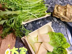 -蜀大侠火锅(森兰花园城店)