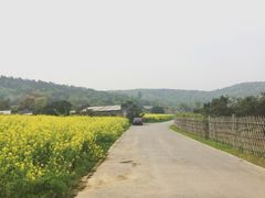 -龙寺生态园