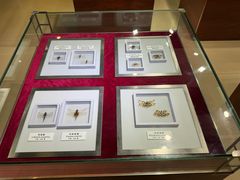 -上海昆虫博物馆