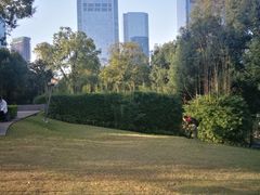 -重庆市江北嘴中央商务区中央公园