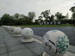 -长田漾湿地公园