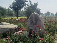 -汉长安城未央宫国家考古遗址公园