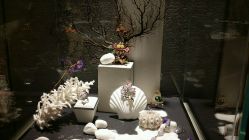 -北京七彩云南翡翠珠宝旗舰店(月坛店)