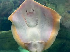 -珠海长隆海洋王国