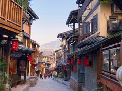 -南山植物园