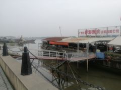 -大湾区中央湿地公园-十九涌