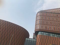 -中国宋庆龄青少年科技文化交流中心