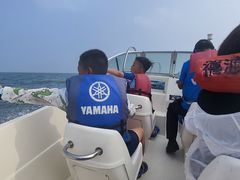 -秦皇岛乐岛海洋王国