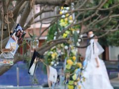 -白云湖畔酒店-湖畔餐厅