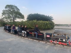 -上海都市菜园
