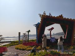 -野狸岛